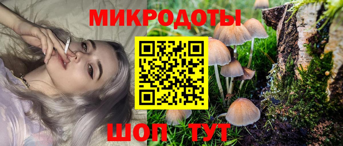 Галлюциногенные грибы Psilocybine cubensis  наркотики  Янаул  Вход с VPN 